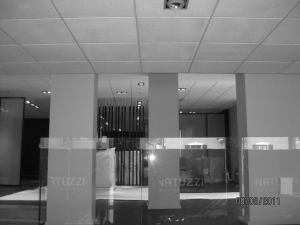 natuzzi-como